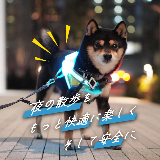 【送料無料・3営業日以内出荷】LIGHTHOUND 光る犬用ハーネス（S～XLサイズ）