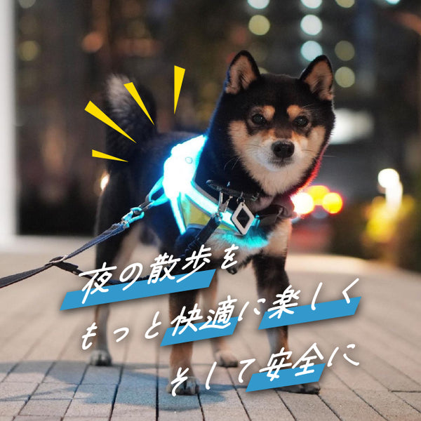 【送料無料・3営業日以内出荷】LIGHTHOUND 光る犬用ハーネス